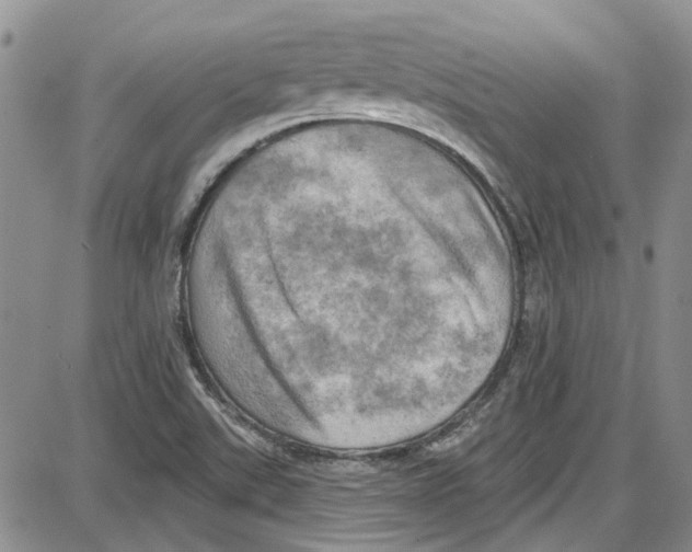 X0000087631507200705311316