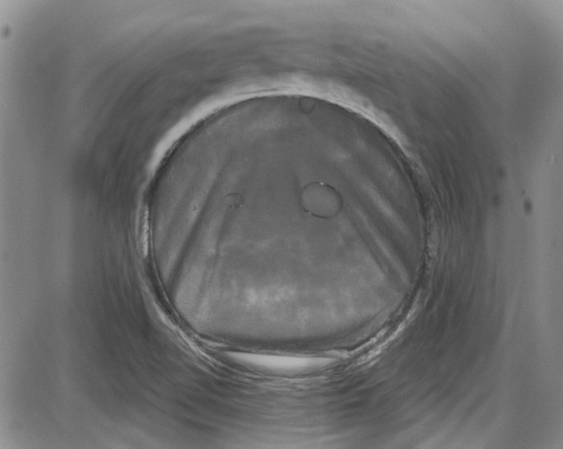 X0000087631510200705311316