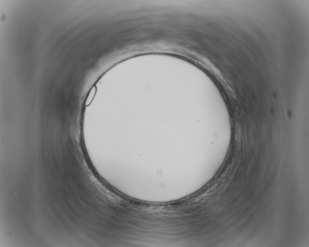 X0000087631512200705311316