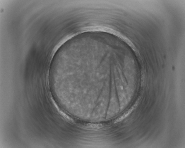 X0000087631513200705311316