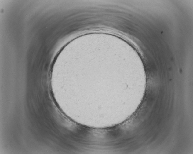 X0000087631514200705311316