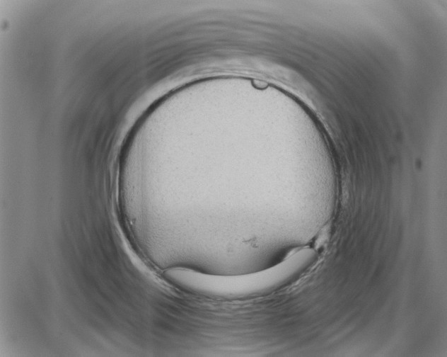 X0000087631515200705311316