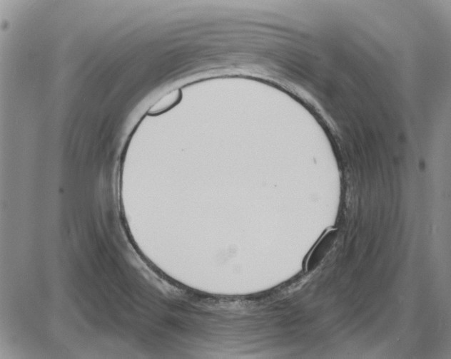 X0000087631516200705311316