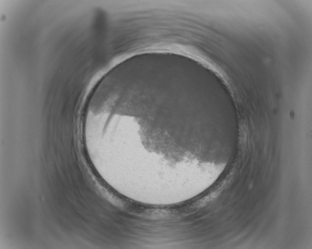 X0000087631517200705311316