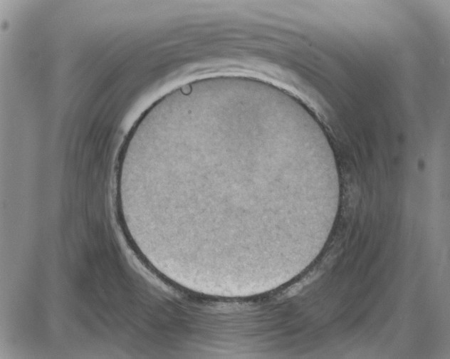 X0000087631518200705311316