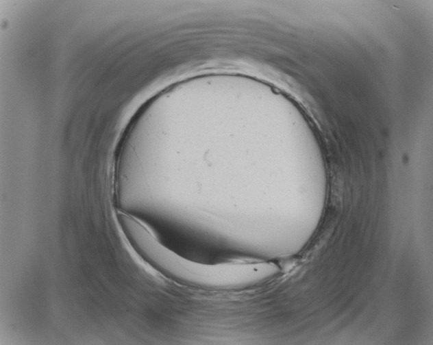 X0000087631519200705311316