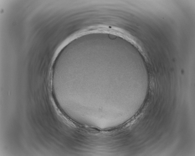 X0000087631522200705311316