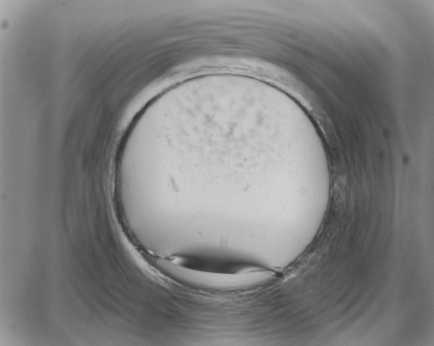 X0000087631523200705311316