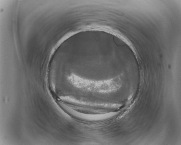 X0000087631525200705311316