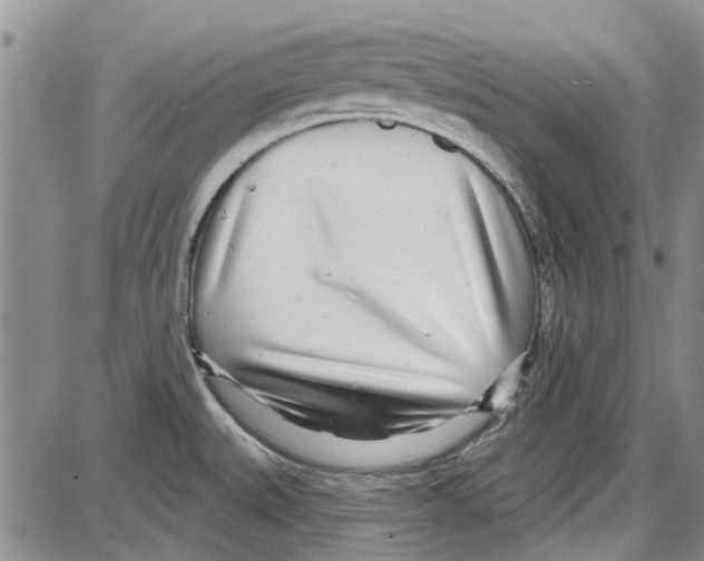 X0000087631527200705311316