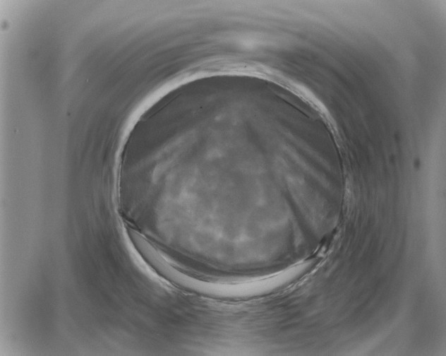 X0000087631528200705311316