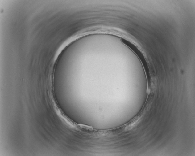 X0000087631530200705311316