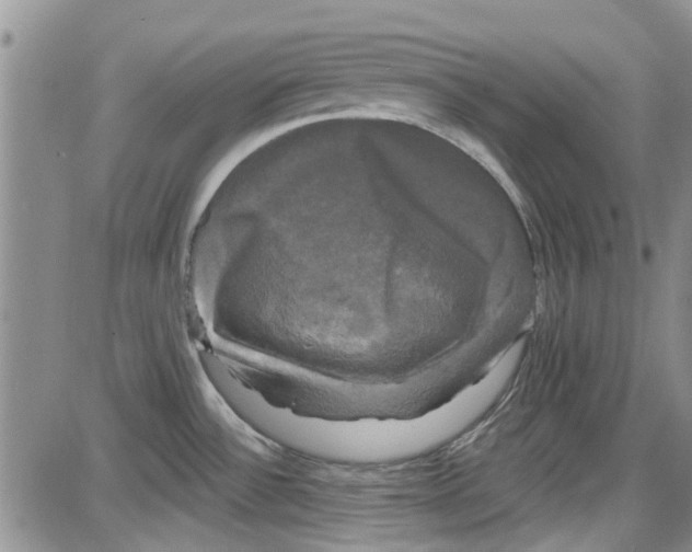 X0000087631532200705311316