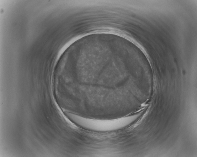 X0000087631533200705311316