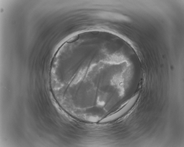 X0000087631534200705311316