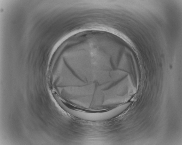 X0000087631536200705311316