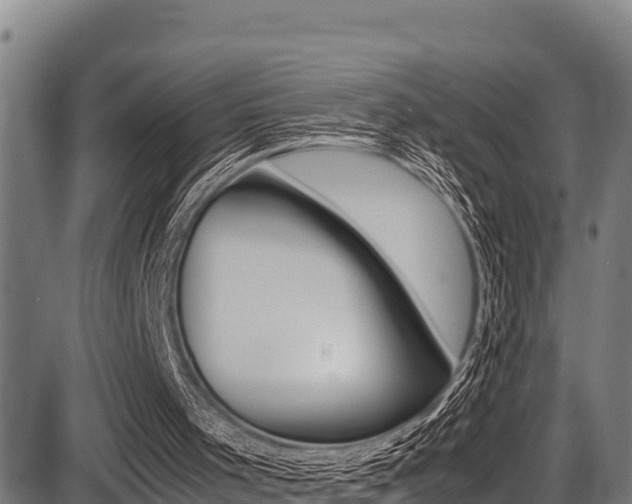 X0000087640001200705030804