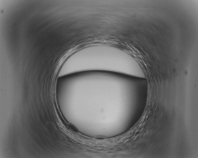 X0000087640003200705030804