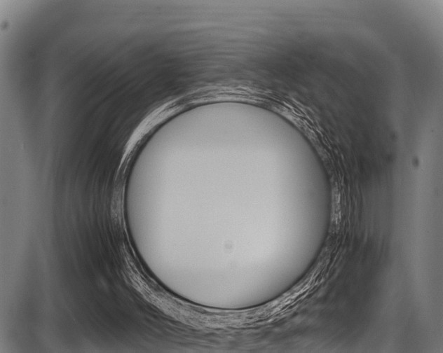 X0000087640004200705030804