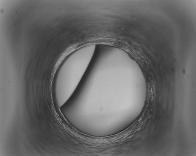 X0000087640006200705030804