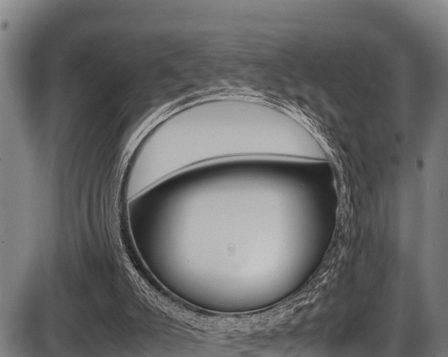 X0000087640007200705030804