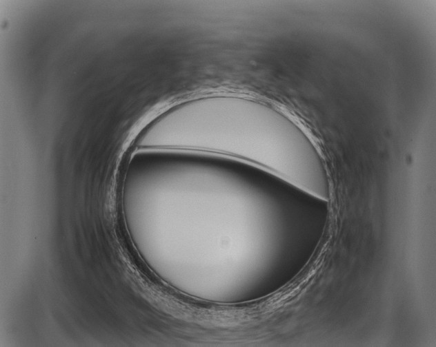 X0000087640008200705030804