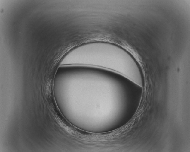 X0000087640009200705030804