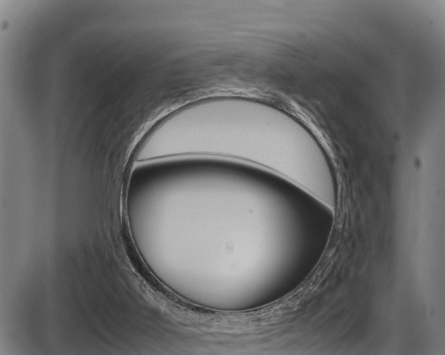 X0000087640011200705030804