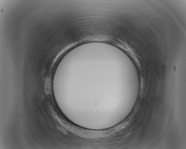 X0000087640012200705030804