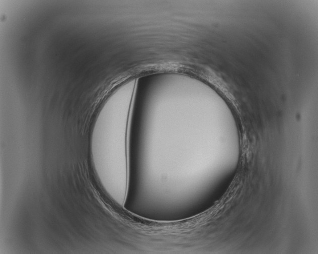 X0000087640013200705030804