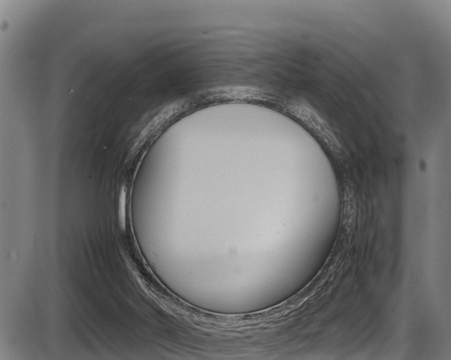 X0000087640014200705030804