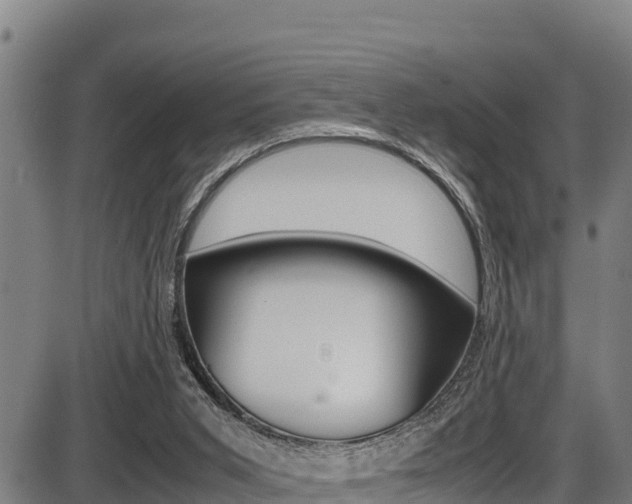 X0000087640015200705030804