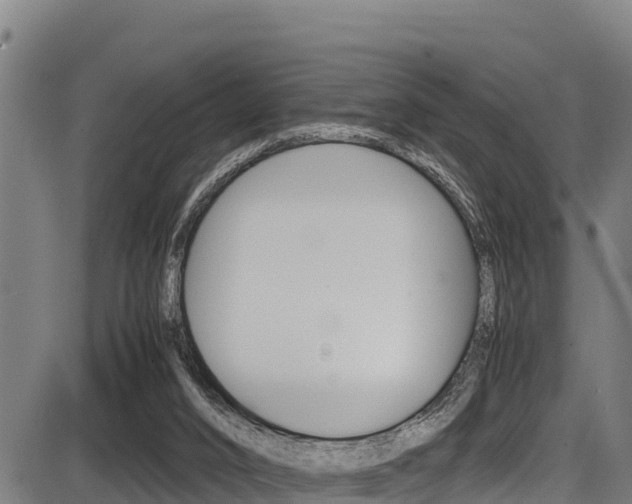 X0000087640016200705030804