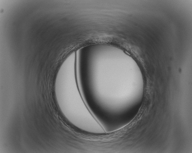 X0000087640017200705030804
