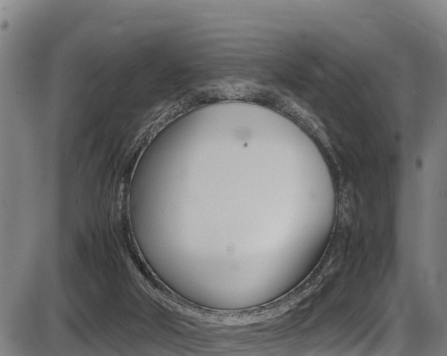 X0000087640018200705030804