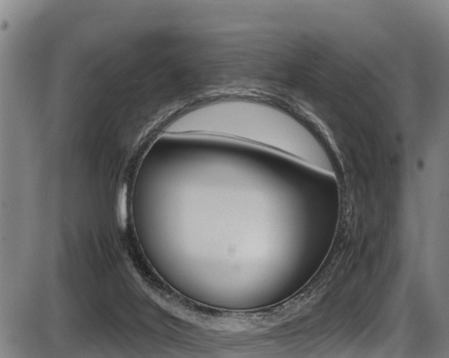 X0000087640020200705030804