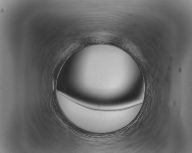 X0000087640021200705030804