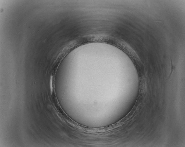 X0000087640022200705030804