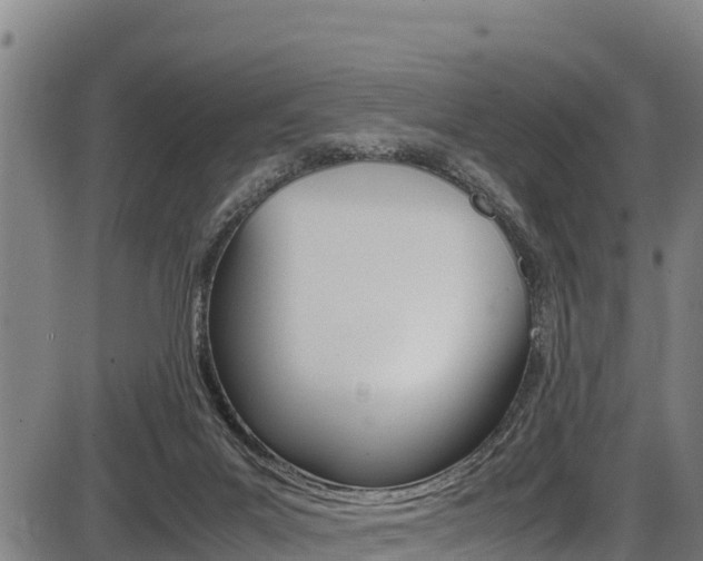 X0000087640023200705030804