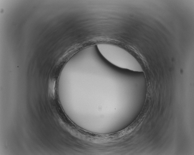 X0000087640024200705030804