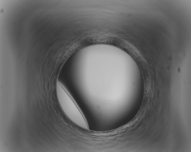X0000087640025200705030804