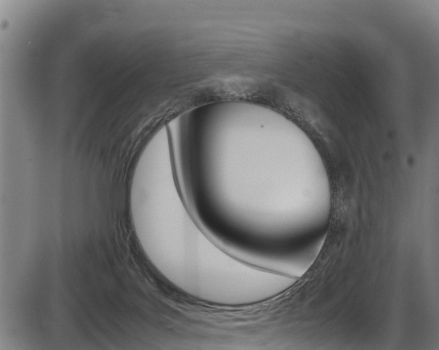 X0000087640027200705030804