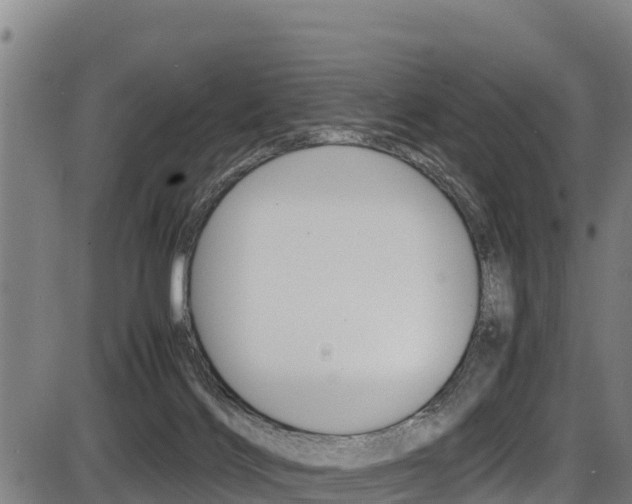 X0000087640028200705030804