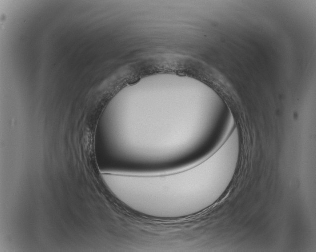 X0000087640029200705030804