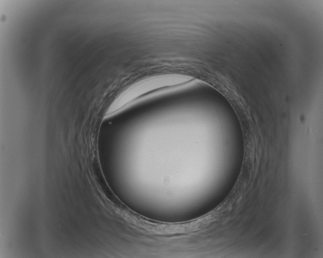 X0000087640031200705030804