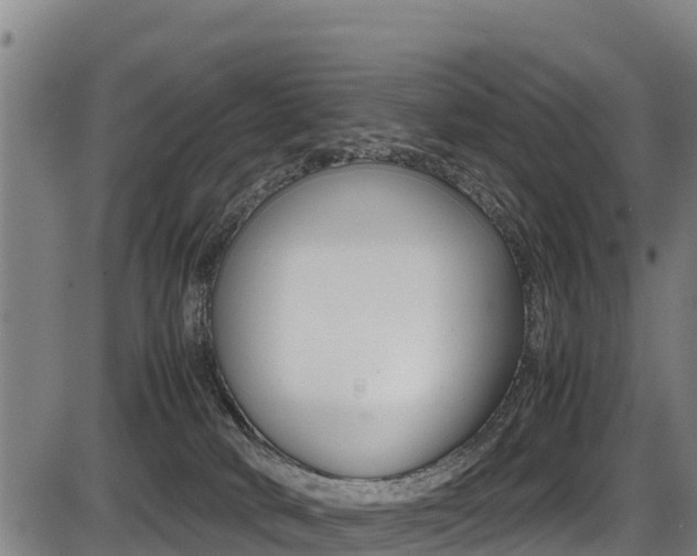 X0000087640034200705030804