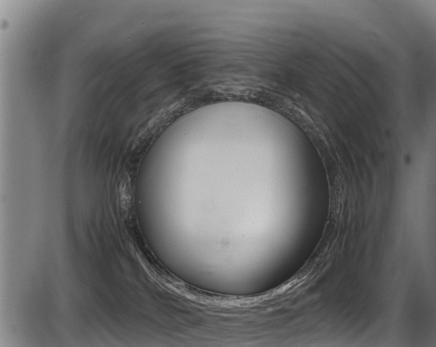 X0000087640040200705030803