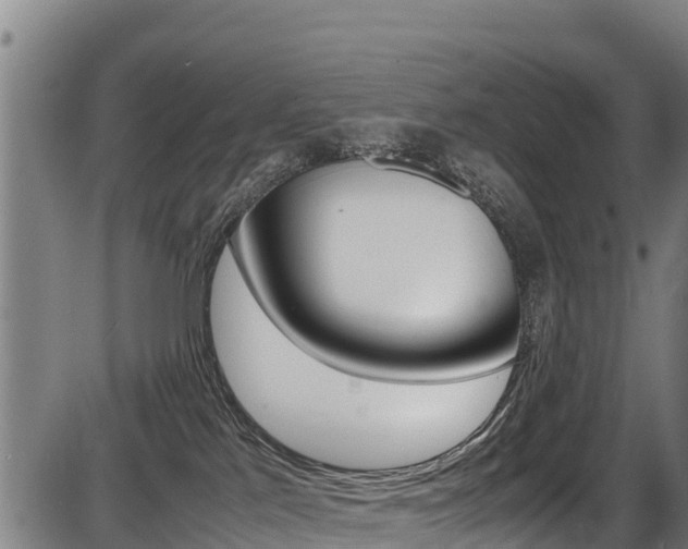 X0000087640041200705030803
