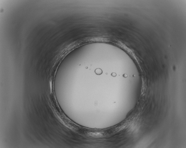 X0000087640061200705030803