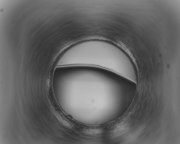 X0000087640063200705030803